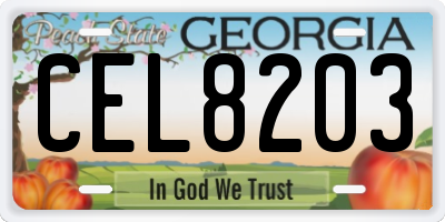 GA license plate CEL8203