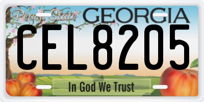 GA license plate CEL8205