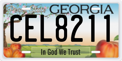 GA license plate CEL8211