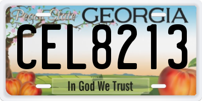 GA license plate CEL8213