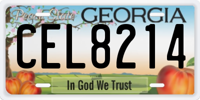 GA license plate CEL8214