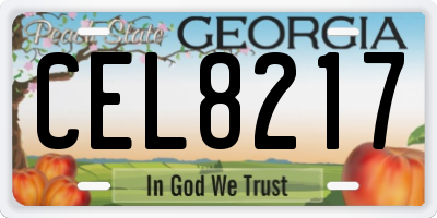 GA license plate CEL8217