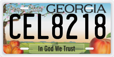 GA license plate CEL8218