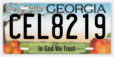 GA license plate CEL8219