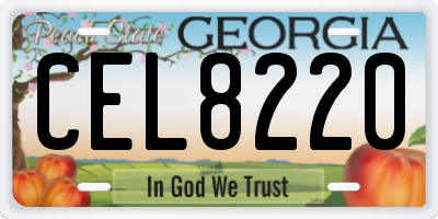 GA license plate CEL8220