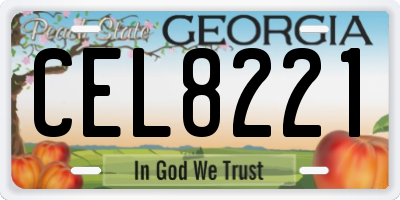 GA license plate CEL8221