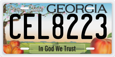 GA license plate CEL8223