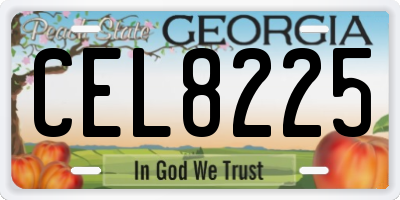 GA license plate CEL8225