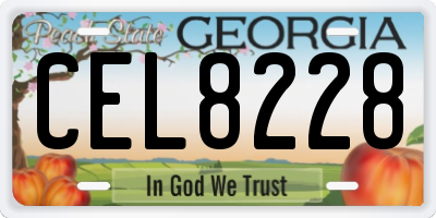 GA license plate CEL8228