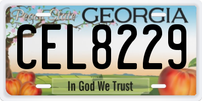 GA license plate CEL8229