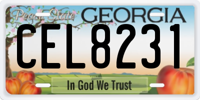 GA license plate CEL8231