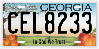 GA license plate CEL8233