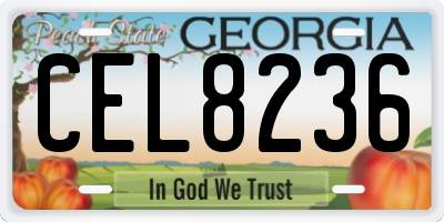 GA license plate CEL8236