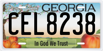 GA license plate CEL8238