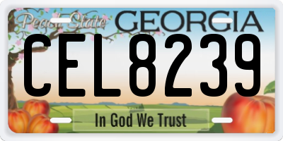 GA license plate CEL8239