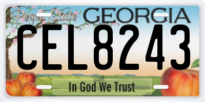 GA license plate CEL8243