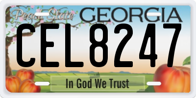 GA license plate CEL8247