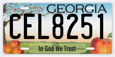 GA license plate CEL8251