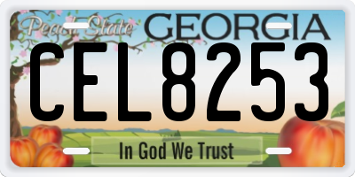 GA license plate CEL8253