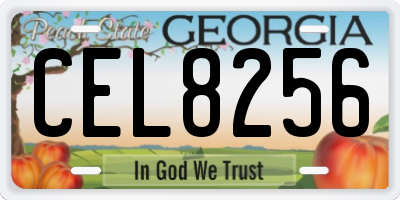 GA license plate CEL8256