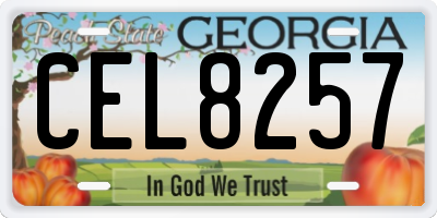 GA license plate CEL8257
