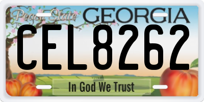 GA license plate CEL8262