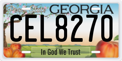 GA license plate CEL8270