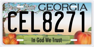GA license plate CEL8271