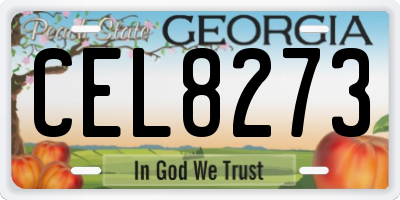 GA license plate CEL8273