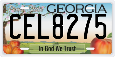 GA license plate CEL8275