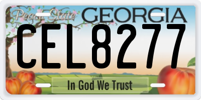 GA license plate CEL8277