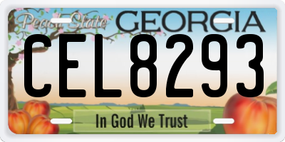 GA license plate CEL8293