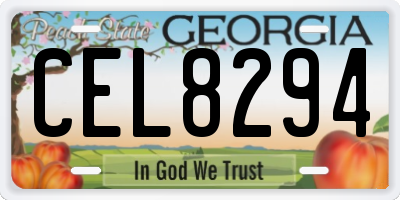 GA license plate CEL8294