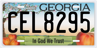 GA license plate CEL8295