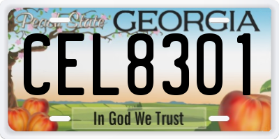 GA license plate CEL8301