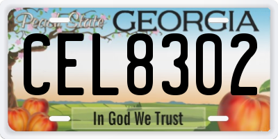 GA license plate CEL8302