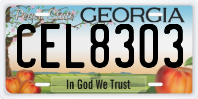 GA license plate CEL8303