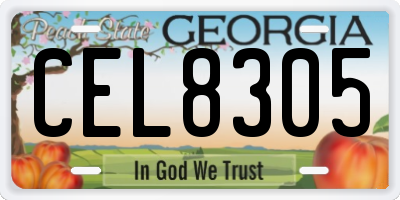 GA license plate CEL8305