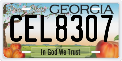 GA license plate CEL8307