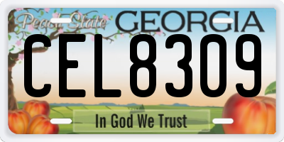 GA license plate CEL8309