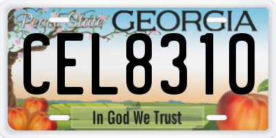 GA license plate CEL8310