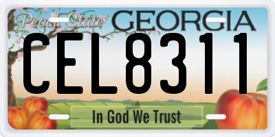 GA license plate CEL8311