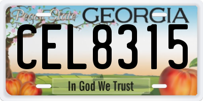 GA license plate CEL8315