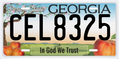 GA license plate CEL8325