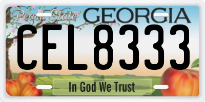 GA license plate CEL8333