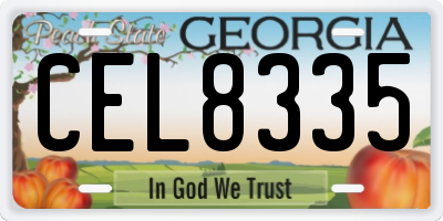 GA license plate CEL8335