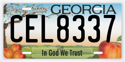 GA license plate CEL8337
