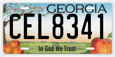 GA license plate CEL8341