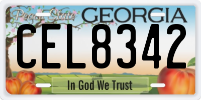 GA license plate CEL8342