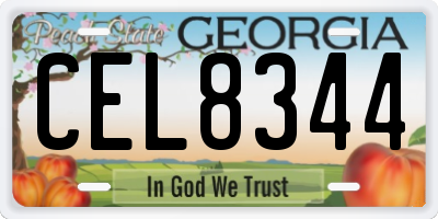 GA license plate CEL8344